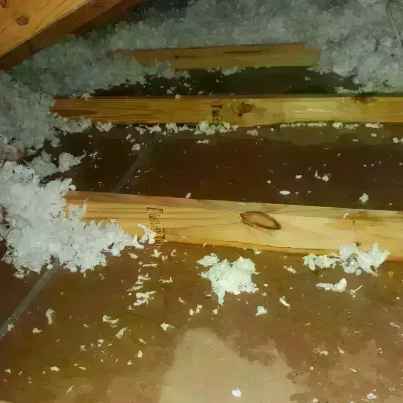 Attic Water Damage in Brockport, NY